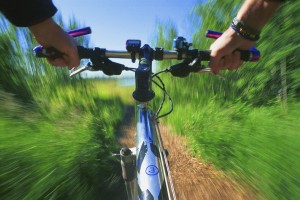 Cyclists Call for Insurance vs. Negligent Drivers